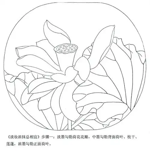 杨晓君工笔荷花教程之一《淡妆浓抹总相宜》