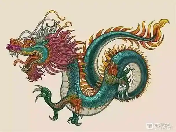 龙的英译是dragon还是loong网络争论不休你支持哪一个