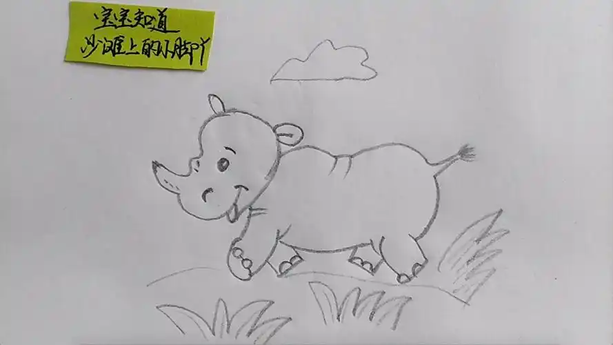 简笔画:大犀牛