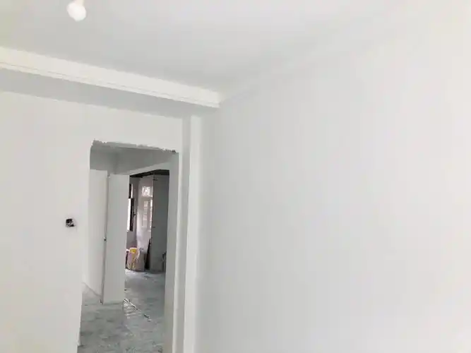 但这样墙面会太厚,导致以后可能会掉漆起皮,好在这个白色还可以看起来