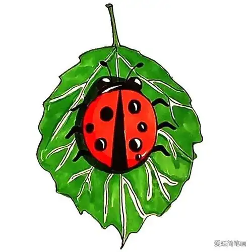 七星瓢虫简笔画 _昆虫简笔画-简笔画大全