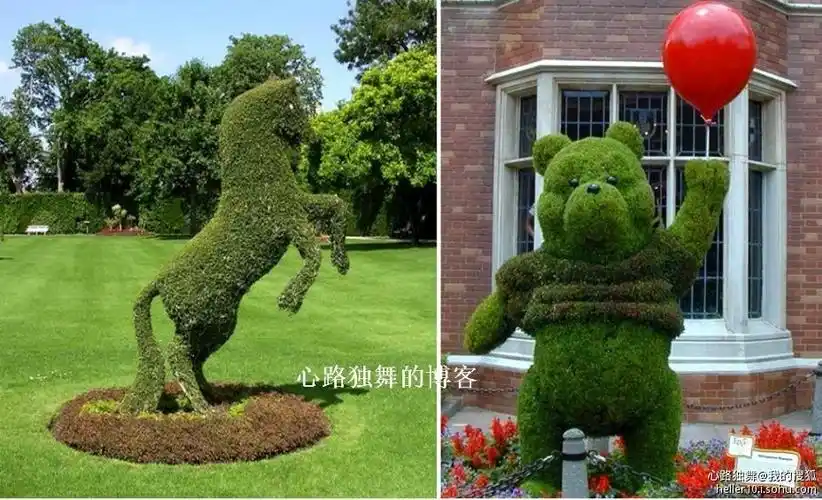 精美的树木造型艺术