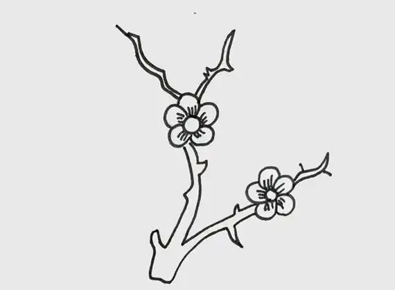树枝上的梅花简笔画画法步骤图片