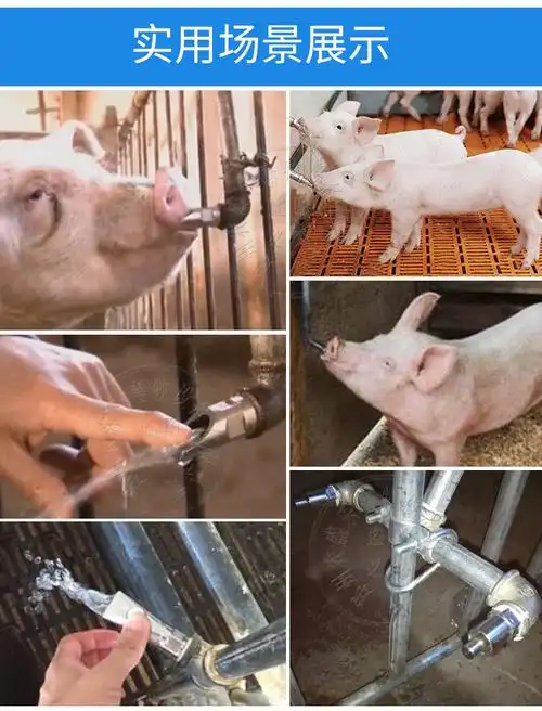 猪自动饮水器不锈钢猪用饮水嘴防溅水乳头咬嘴配件饮水碗养殖设备