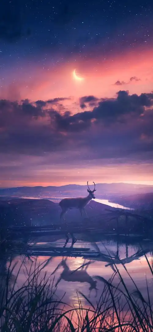 「更新美女壁纸～cos系列～二次元动漫～网红～日系美女写真」美女