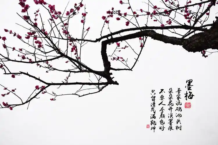 【墨梅摄影图片】风光摄影_时光留影_太平洋电脑网摄影部落