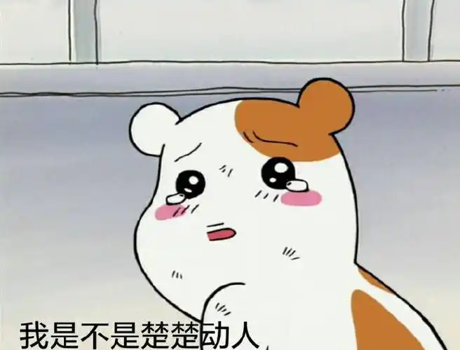 我是不是楚楚动人委屈流泪胖子gif动图_动态图_表情包下载_soogif