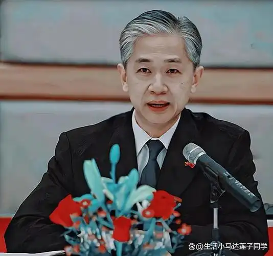 汪文斌是我国的外交部发言人,安徽人,外交学院毕业,经济学硕士,不仅会