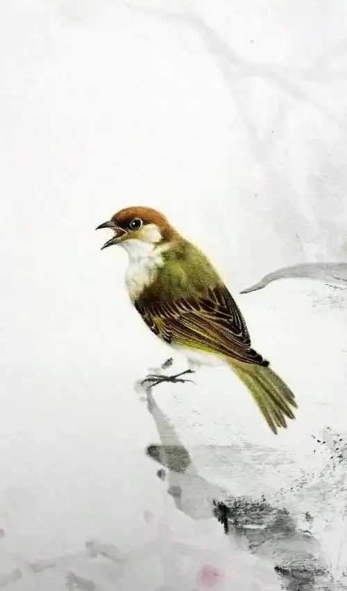 这位大师的麻雀画的姿态生动,活灵活现