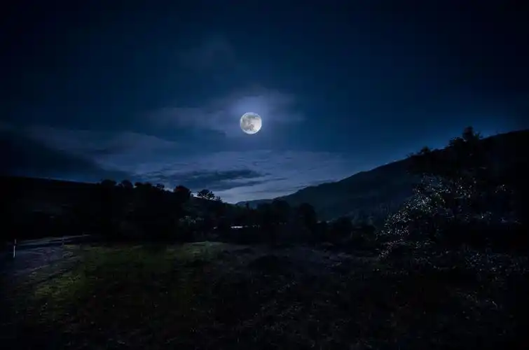 夜空中明亮的月亮