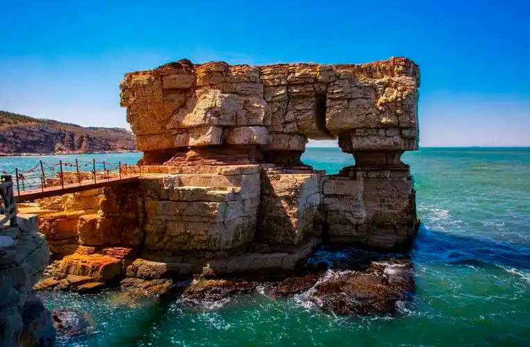 世界地球日大黑山岛万鸟岛邀你一起感知自然