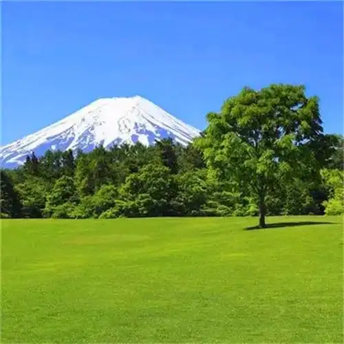 爸爸们爱用的头像