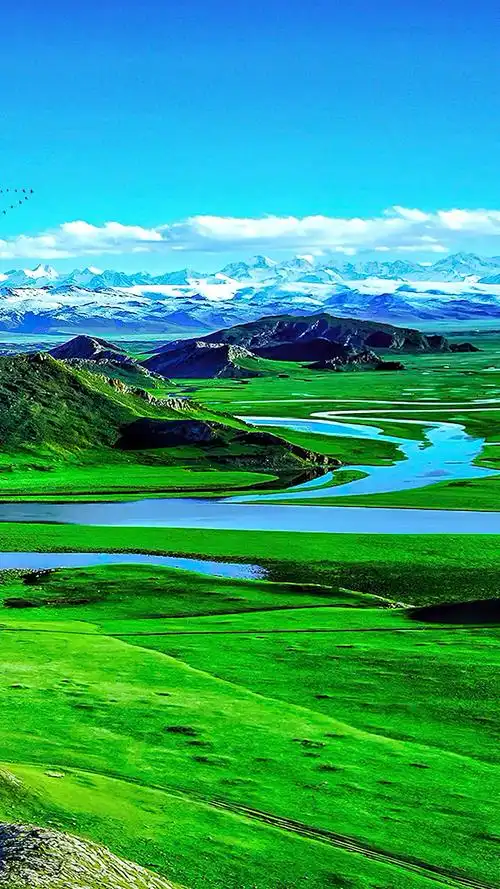 风景#不要羡慕国外的风景,在咱们大美的西部地区巴音布鲁克大草原