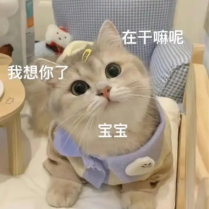 在干嘛呢 宝宝 我想你了#发给对象表情包 #情侣互动表情包 - 抖音