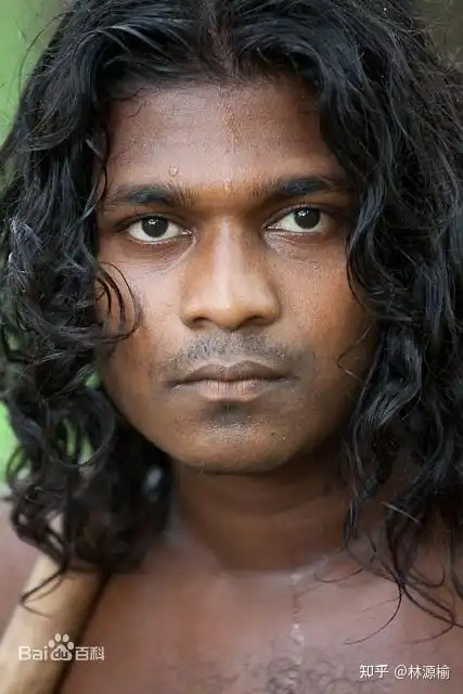 印度-达罗毗荼人