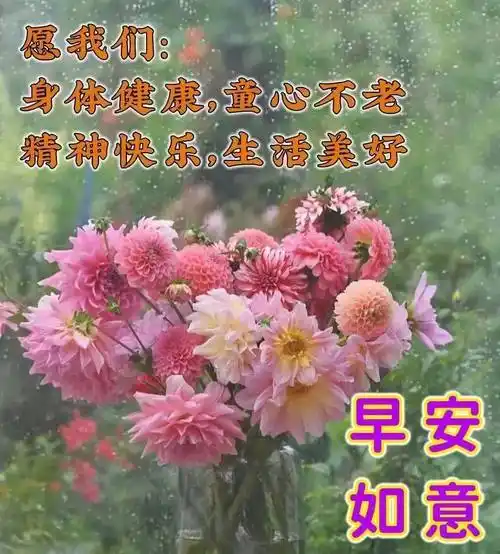 9张最新创意好看的春日清晨早上好祝福图片带字温馨_问候_一生_开心