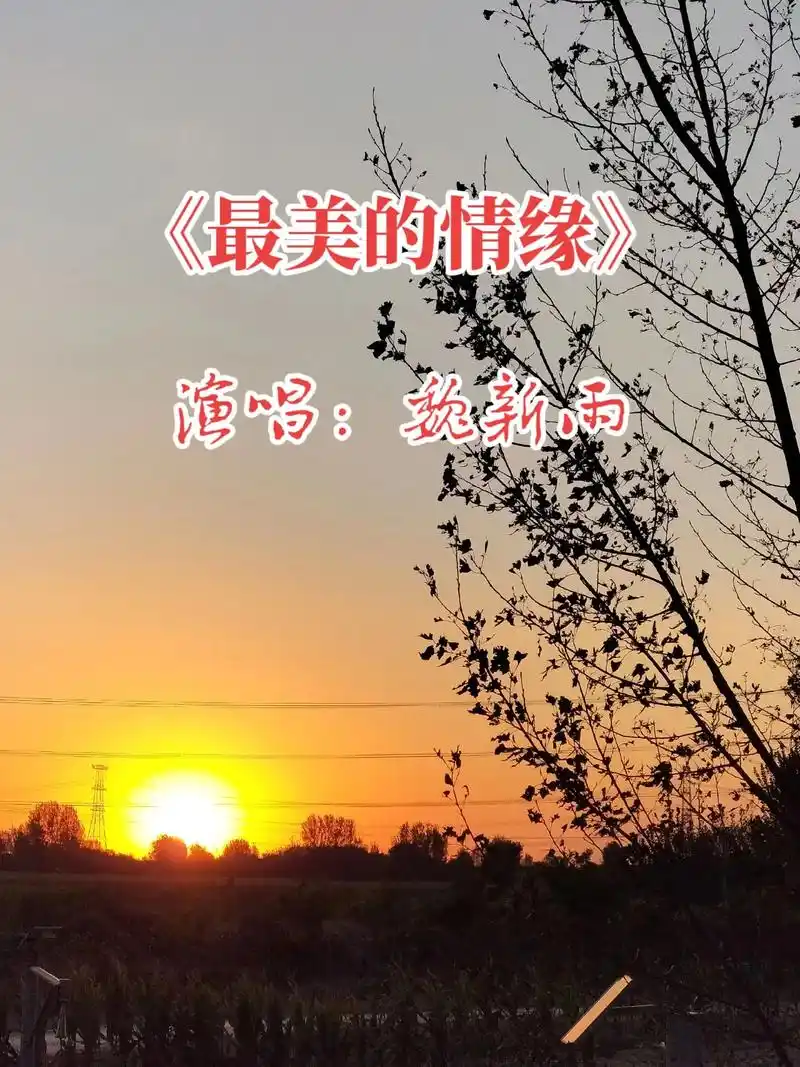 最美的情缘#魏新雨 - 抖音