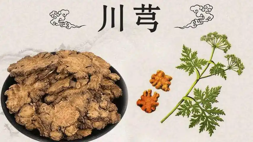 川芎的作用和功效有哪些