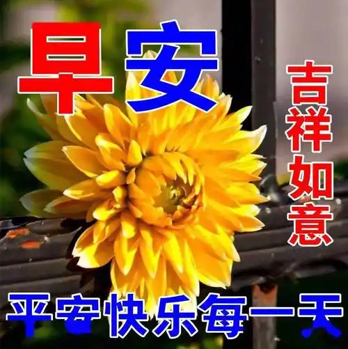 2022最新早上好表情包,天天好心情,平安快乐每一天!_时光_生活_云里