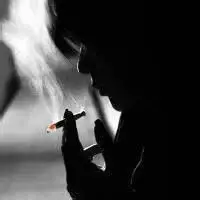 微信花草植物头像微信帅哥头像微信非主流头像微信背影头像微信素描