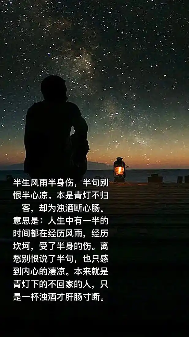 半生风雨半身伤,半句别恨半心凉.本是青灯不归客,却为浊酒断心 - 抖音