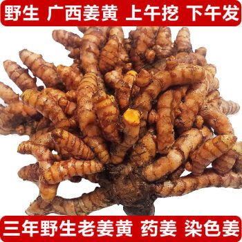 觅裕欢 顺丰 广西野生小姜黄现挖新鲜野生小黄姜月子姜黄肉姜 精选