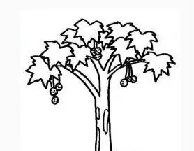 画树简笔画树四季的树
