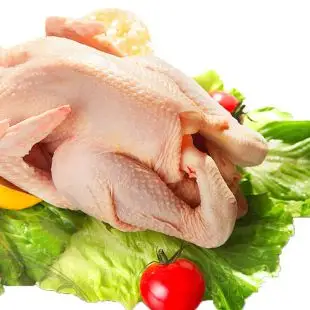 土鸡新鲜农家散养三黄鸡白切鸡炸鸡生鲜母鸡整只活体现杀童子鸡