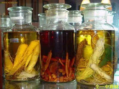 药酒用什么酒泡