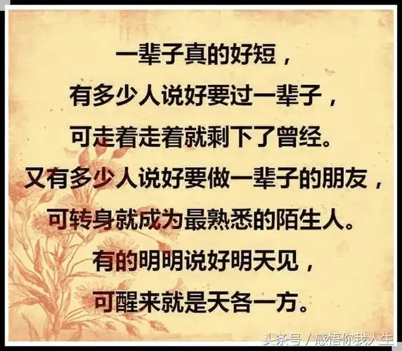 请好好珍惜身边的人