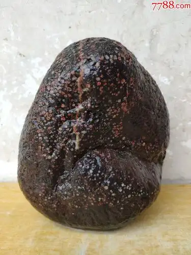 新进洛阳梅花石原石1139"雪里红梅"(双色对比很亮眼)