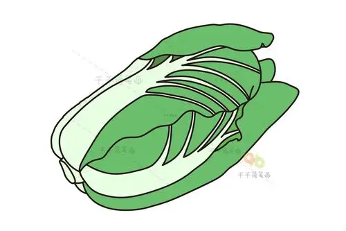 白菜简笔画儿童绘画