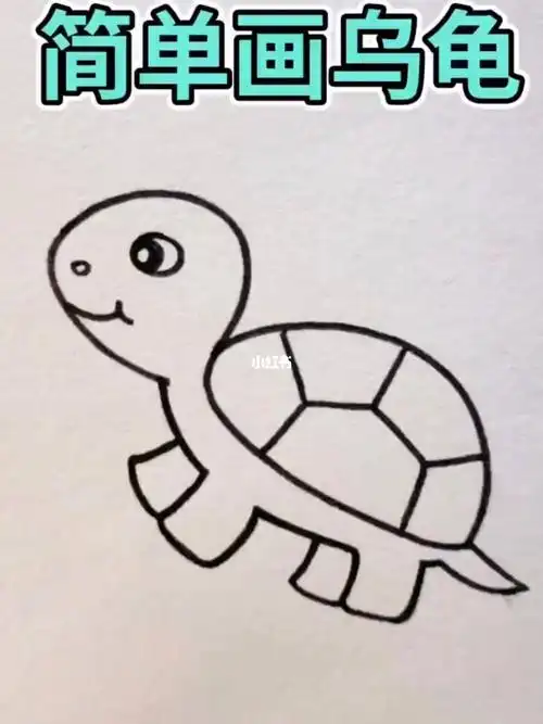 简笔画  #简笔画教程  #画个简笔画  #小乌龟