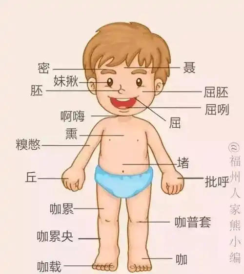 3只有福州人才能看得懂的人体结构图(羞射)2看表从来不说分钟也不说刻