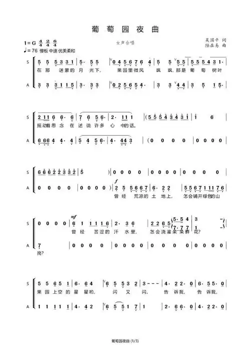 葡萄园夜曲