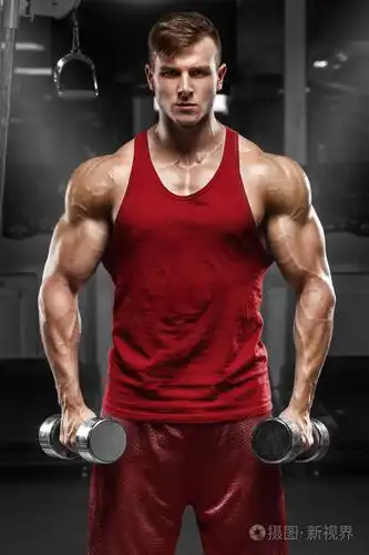 工作在健身房锻炼强男性的肌肉男