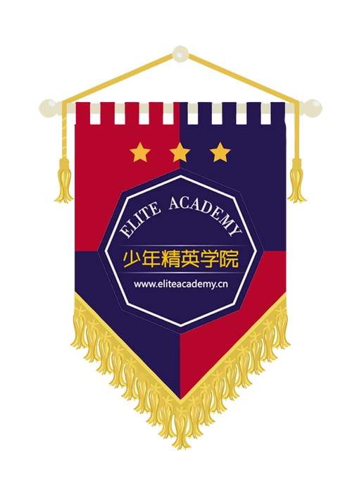 足球俱乐部队旗设计