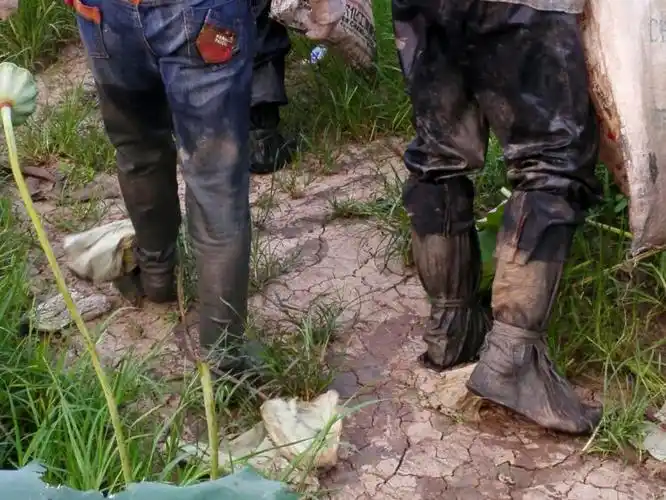 都是泥,衣服都湿透了,为了方便,同吋还要防止划伤,村民们都穿着袜子