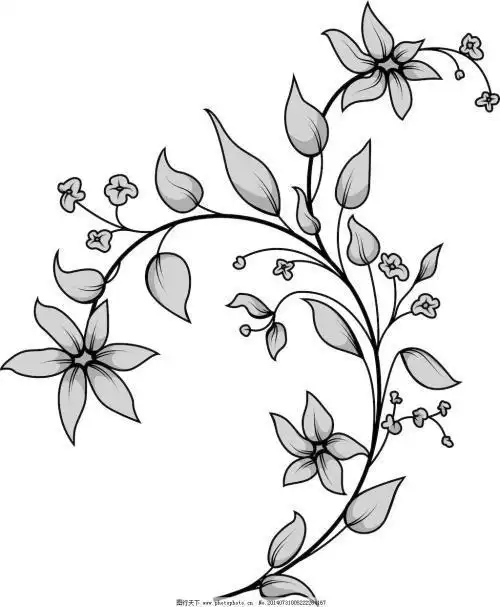 风景简笔画 植物花卉简笔画 正文内容 关于紫荆花的资料漂亮的郁金香