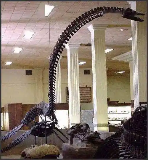 蛇颈龙是想不开吗?_神河_龙的_来自