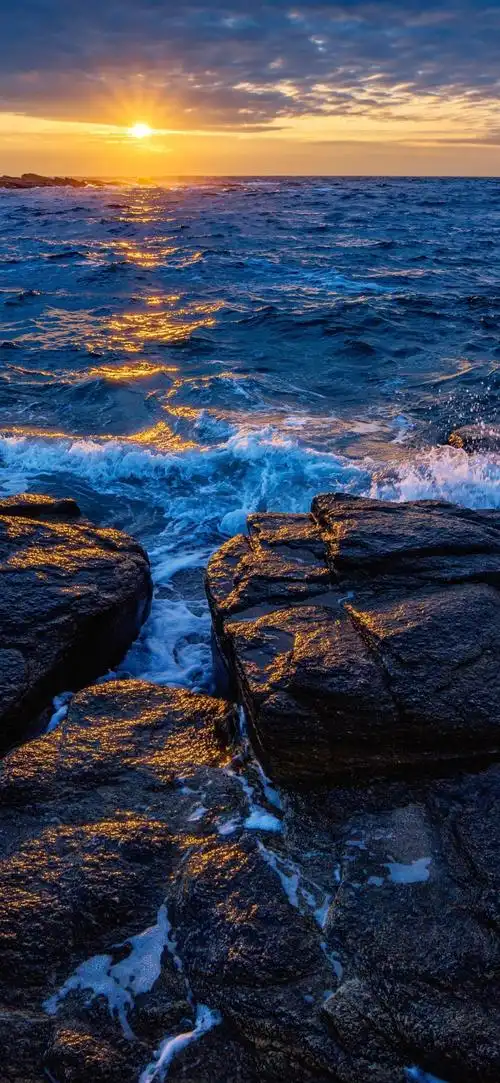 1440_3120竖版 竖屏