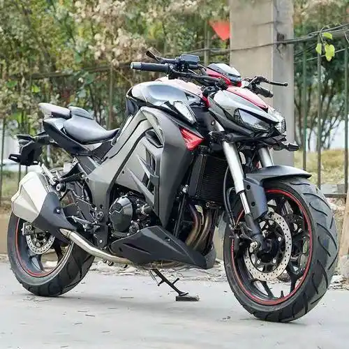 进口趴赛忍者双缸街车n19蟒蛇跑车川崎四缸摩托车整车