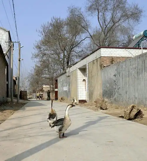 谢凡摄影~乡情,乡音,乡俗:豫东农村纪实(1)