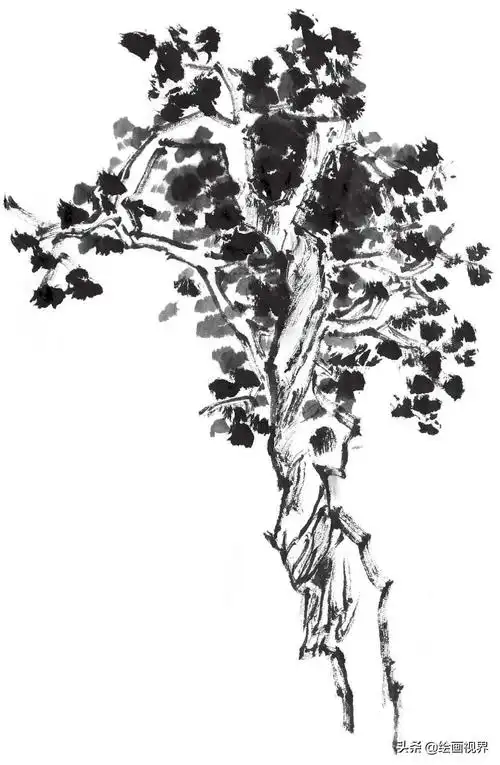 怎么画树(画国画树不会画)