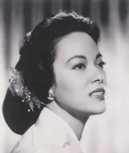 《夜来香》幕后原唱,隐瞒国籍过"双面"人生,成为红遍上海滩的一代名伶