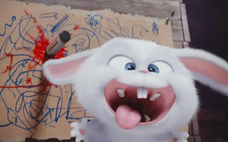 4k沙雕卡点爱宠起来嗨跟着节奏摇起来