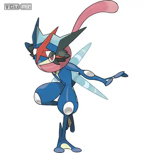 小智的甲贺忍蛙