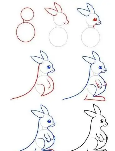 袋鼠简笔画图片袋鼠简笔画图片大全可爱