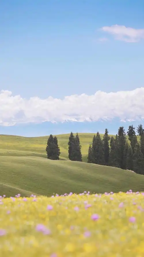 田园风光小清新自然手机壁纸 第二辑_风景_手机壁纸下载_美桌网