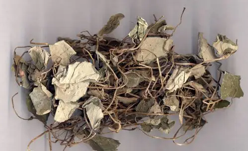 金钱泽泻猪肚汤功效金钱草性微寒味甘淡,具有解毒消肿,除湿退黄的功效